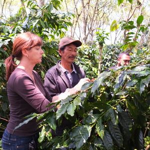 Eco Stay / Workshop Package