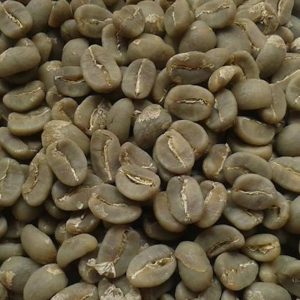 10 kg Abyssinia Washed
