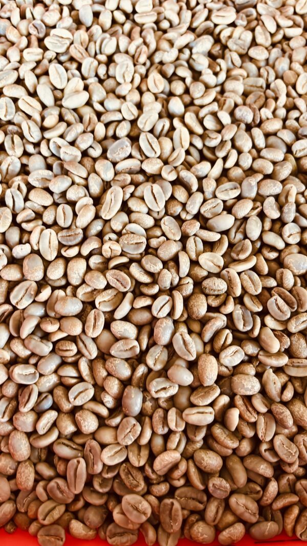 Blended Variety Red Honey