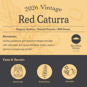 Red Caturra Natural 500 grams