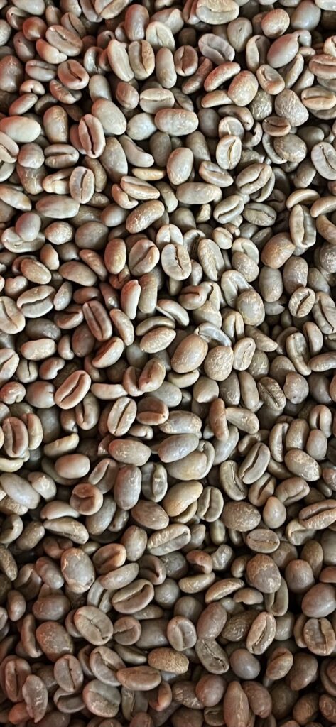 10kg Yellow Bourbon Natural Specialty Grade