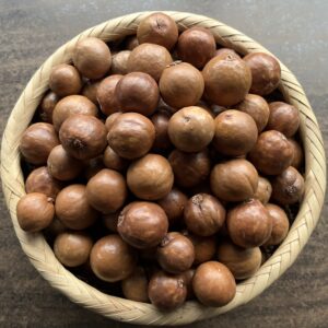 Macadamia Nut in Shell